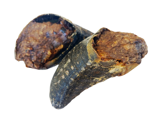 COW HOOVES FILLED WITH PEANUT BUTTER AND KANGAROO