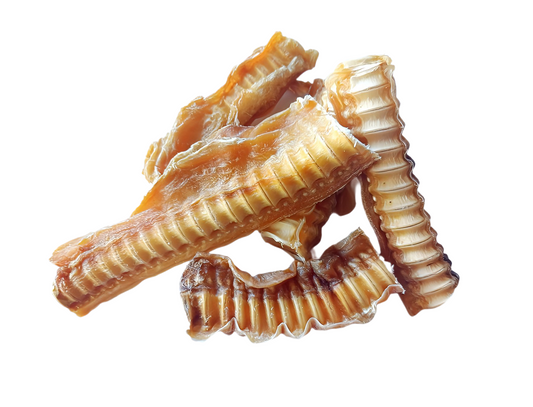 SHARK CARTILAGE CRISPIES