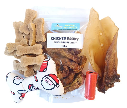 CHRISTMAS DOGGY GIFT BAG