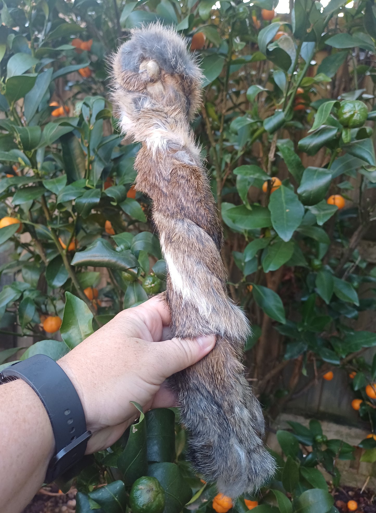 Rabbit Skin Twists with Fur