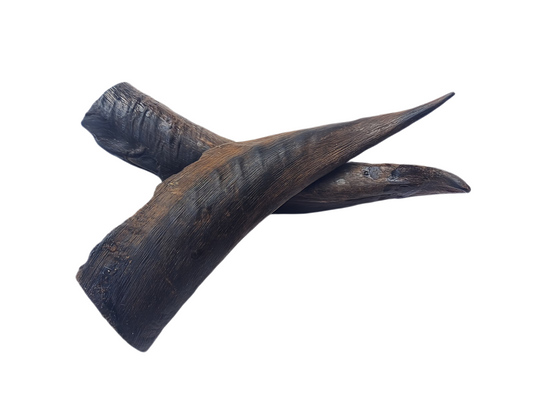 GOATS HORNS