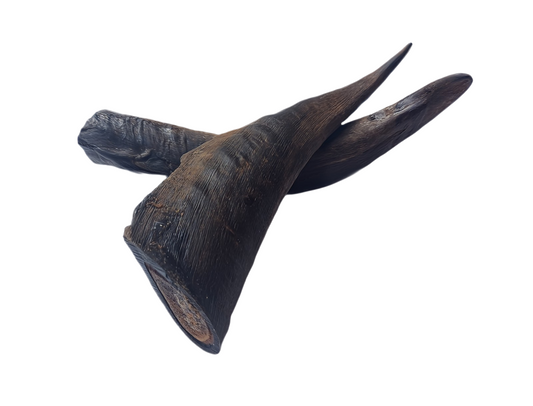 GOATS HORNS