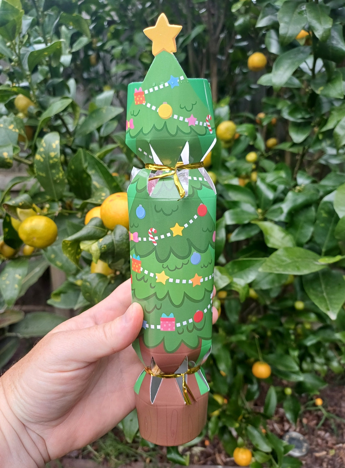 Doggy Christmas Bon Bons