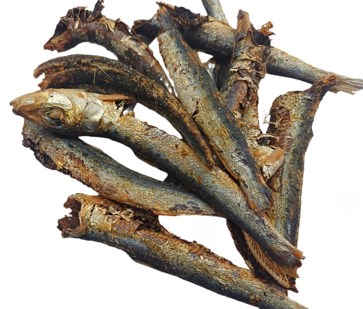 SARDINES