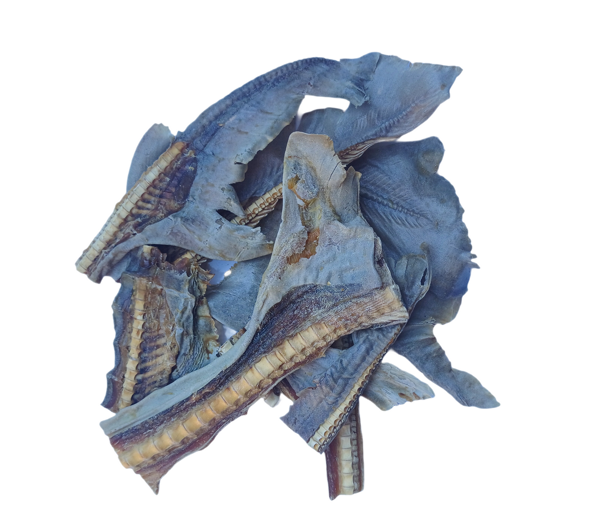 SHARK CARTILAGE WITH TAIL- Bite sized pieces