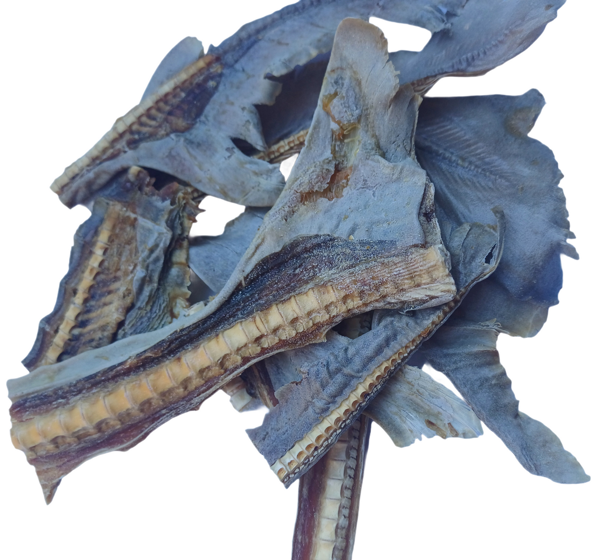 SHARK CARTILAGE WITH TAIL- Bite sized pieces