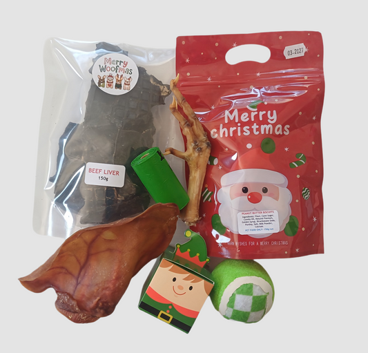 CHRISTMAS DOGGY GIFT BAG